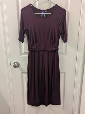 Seraphine nursing friendly maternity dress